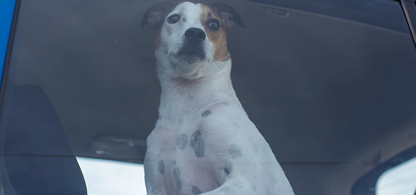 Car Lockout Solutions in Stanford, California